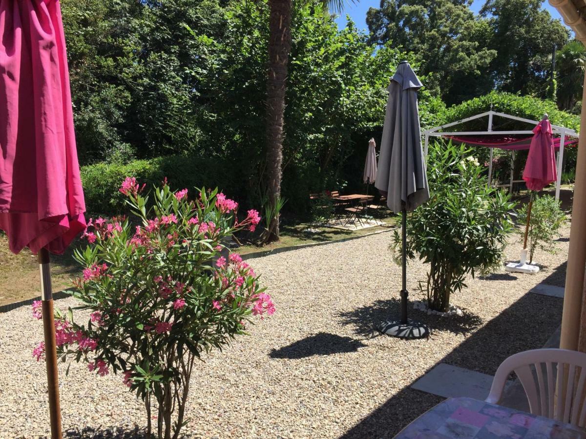 Studio 1.5 km mer et 2 km cascade Santa-Maria-Poggio  Eksteriør bilde