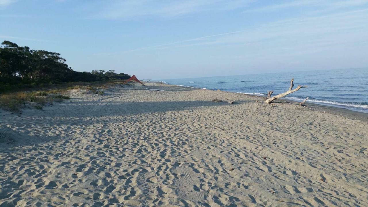 Studio 1.5 km mer et 2 km cascade Santa-Maria-Poggio  Eksteriør bilde